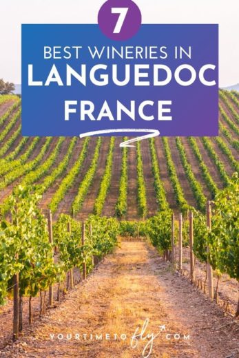 7 Best wineries in Languedoc France