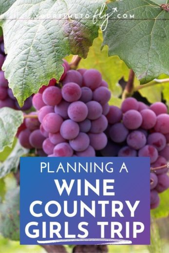 Planning a wine country girls trip with grapes