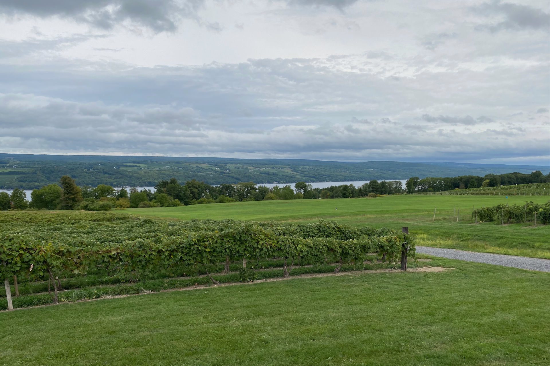 The Best Wineries on Seneca Lake for Tastings with a View