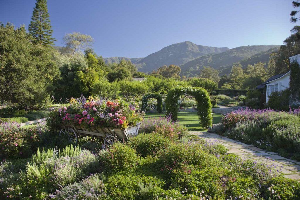 Wedding lawn with flowers and green arches with mountains in the background at San Ysidro Ranch