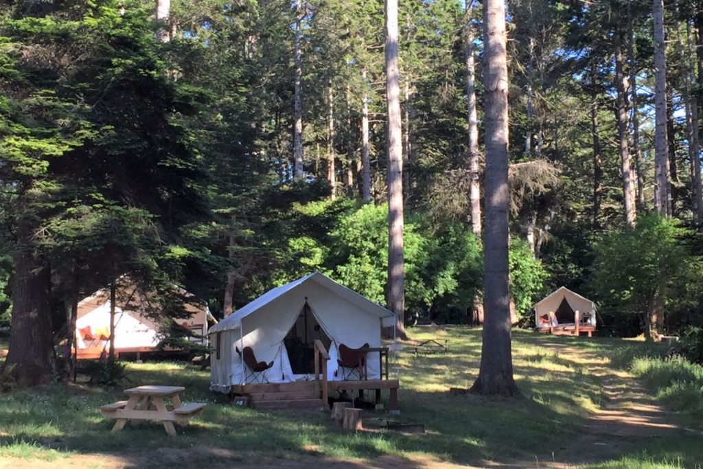 Glamping tent in Mendocino Grove