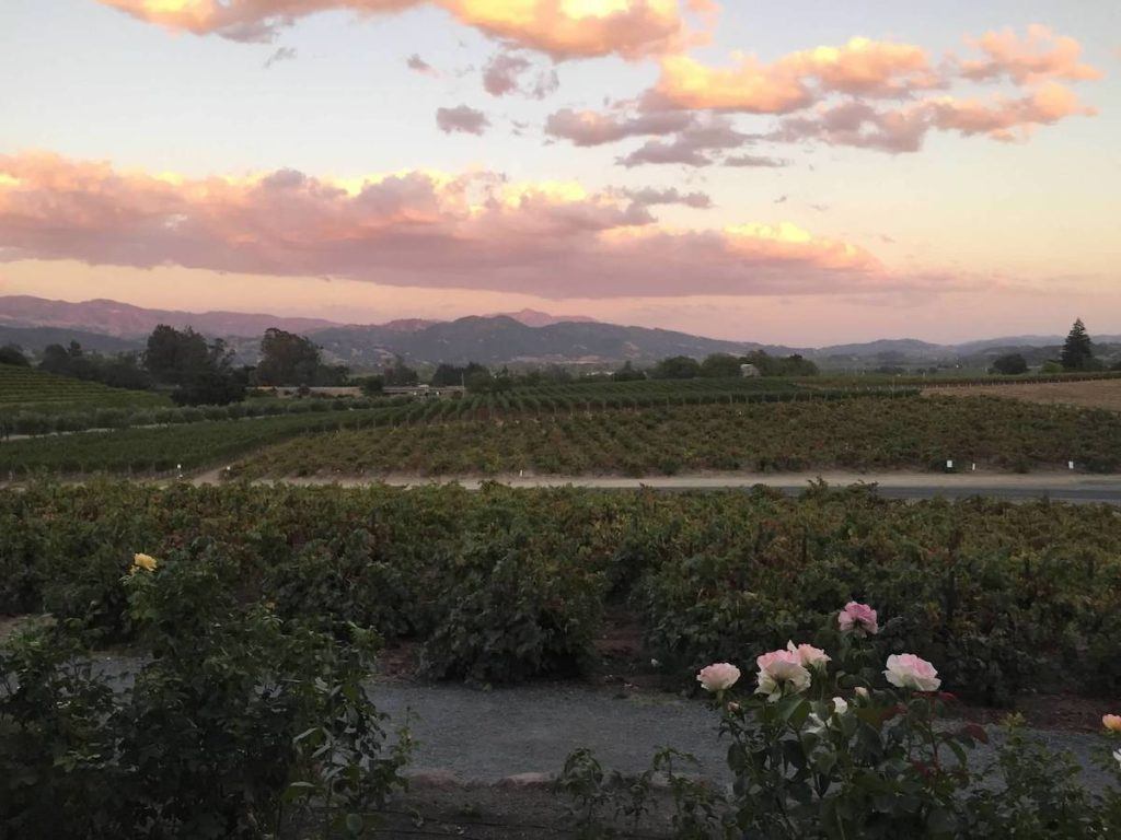 Sunset at Coppola Winery | Photo by Kristine Dworkin 