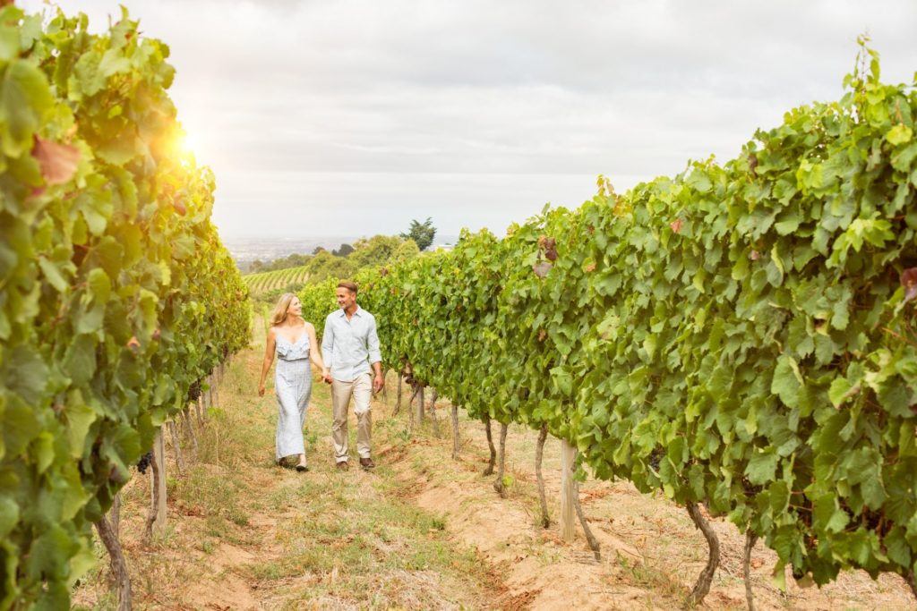 Couple walking through vineyard from Canva