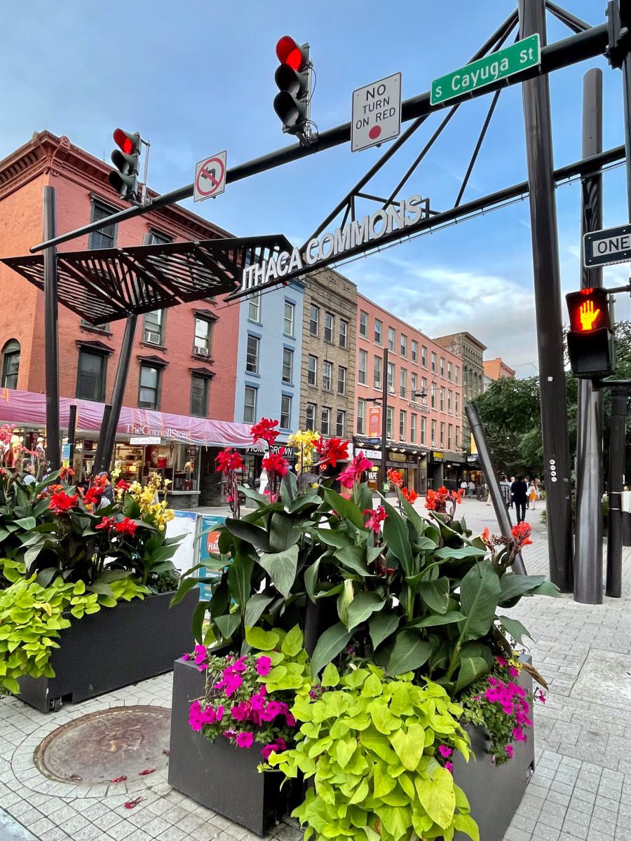 Entrance to the Ithaca Commons