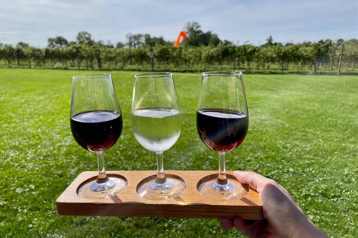 Wine flight with three wines held up in front of a vineyard at Knapp Winery