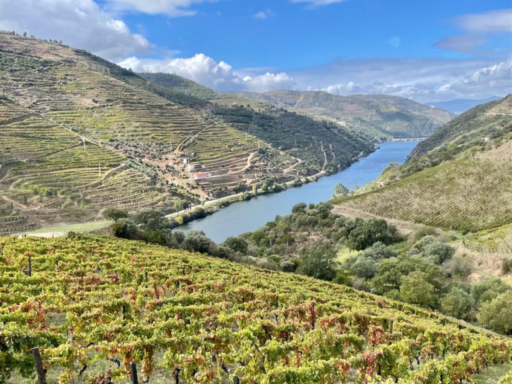 Vineyards and river valley in the Douro