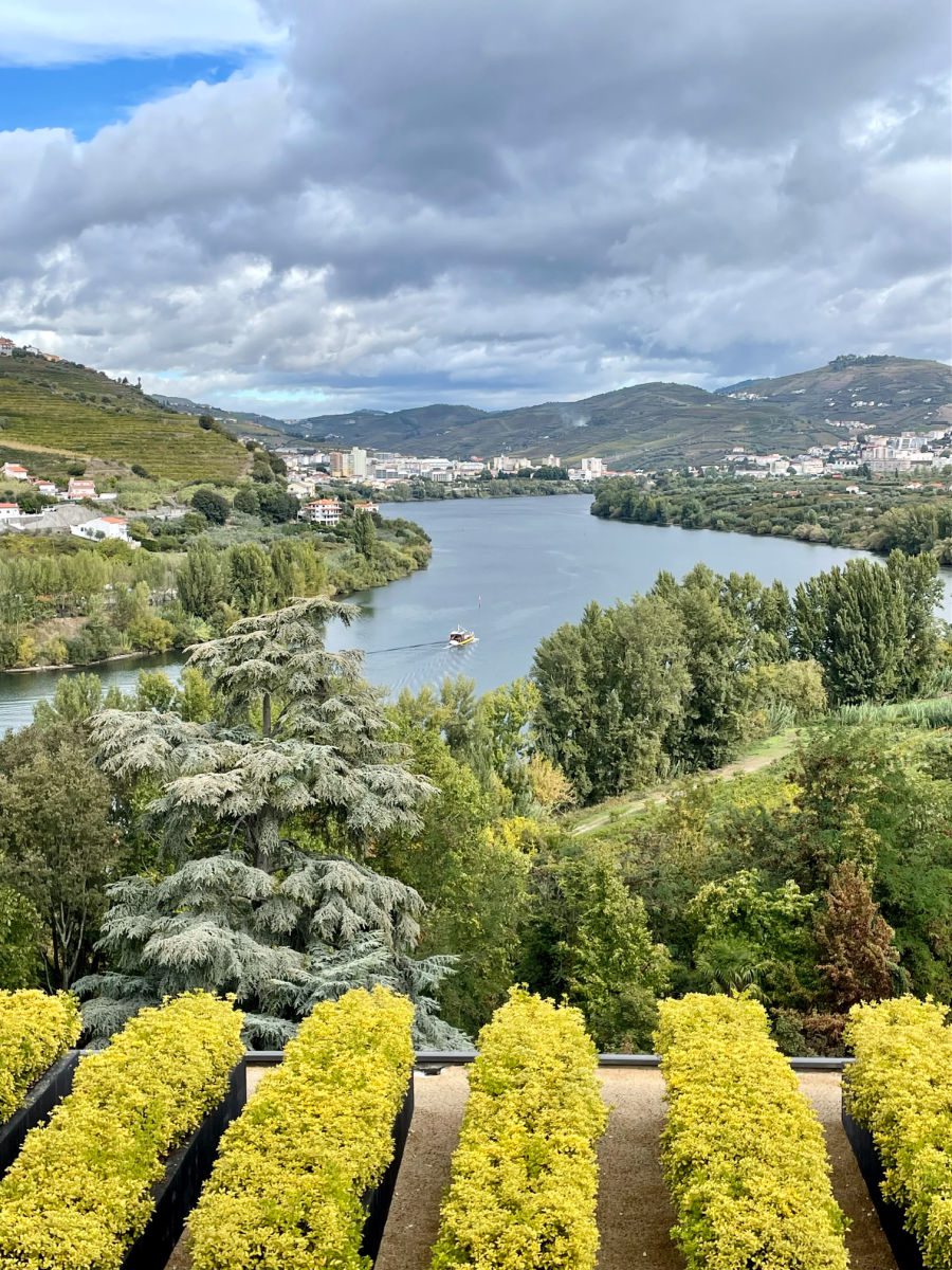 view of the vineyards and Douro River from the Six Senses Douro Valley