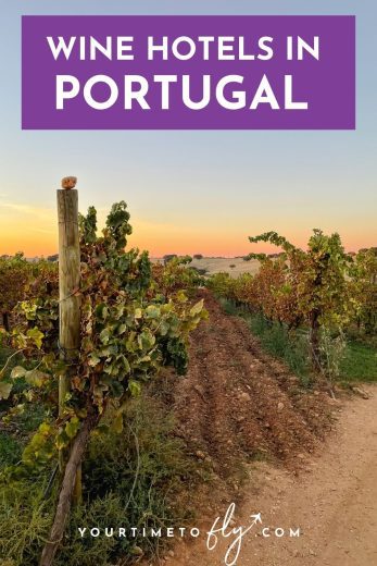 Wine hotels in Portugal with a vineyard at sunset