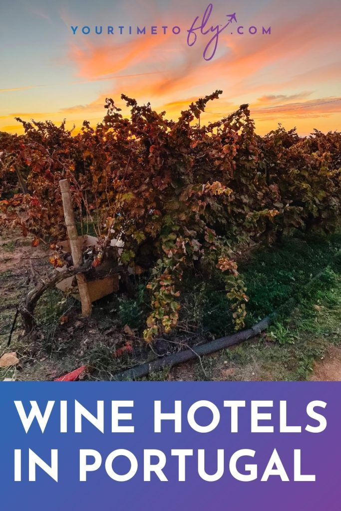 Wine hotels in Portugal with vines at sunset