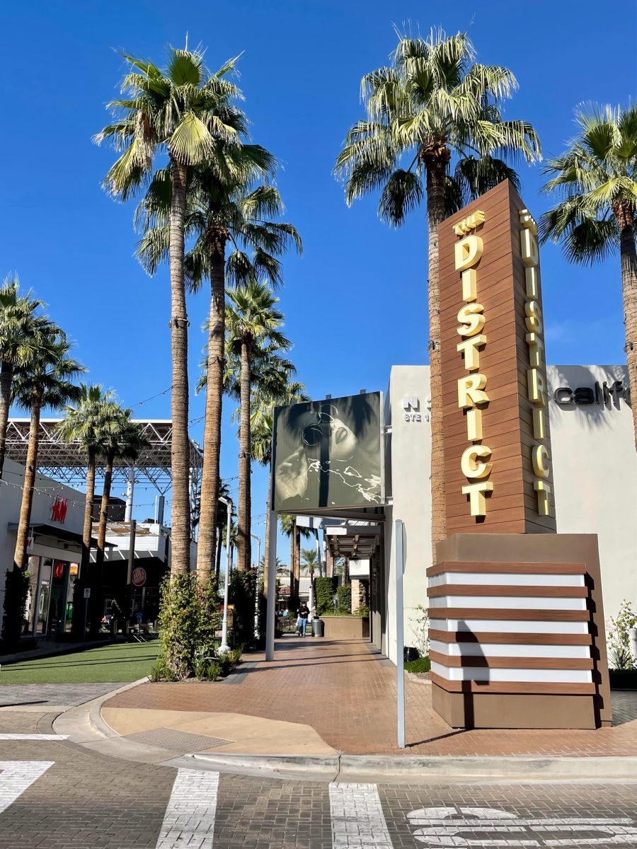 Palm trees and The District sign at Tempe Marketplace