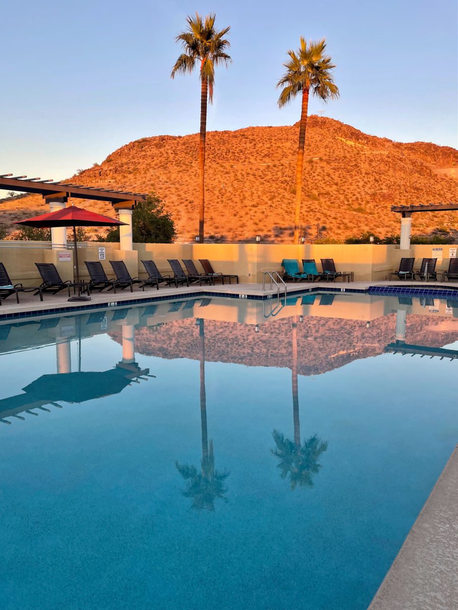 Two palm trees and A Mountain behind the pool at the Tempe Mission Palms hotel