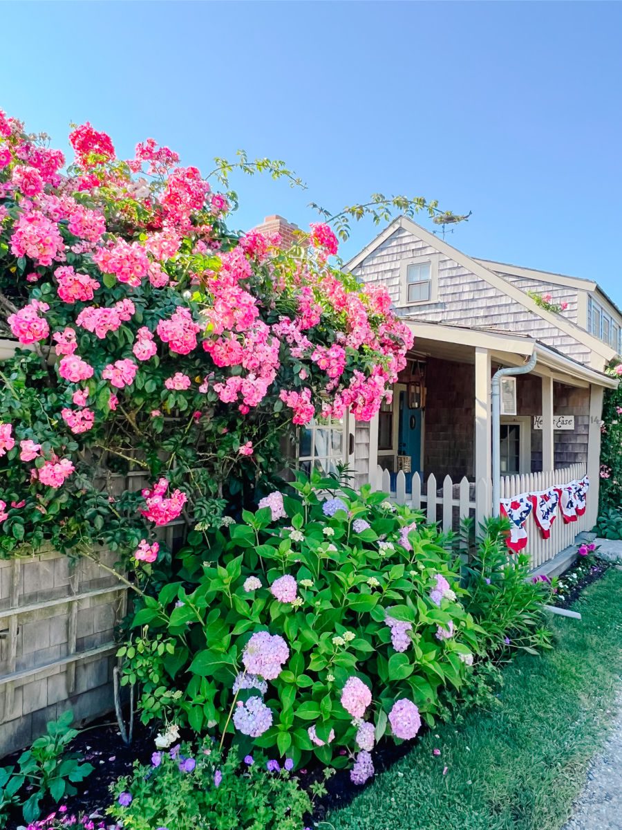 Sconset cottage with roses and flowers