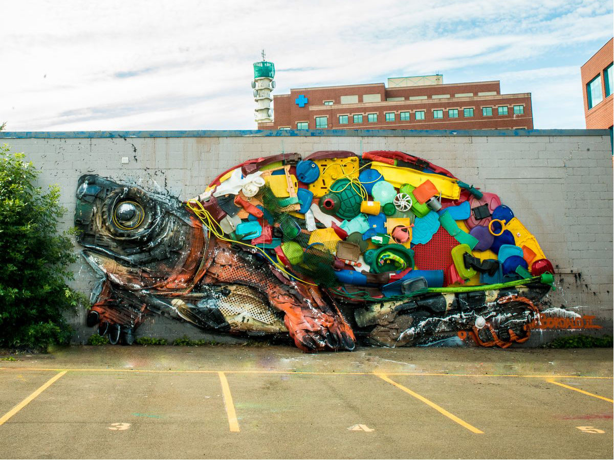 Turtle mural and collage in Moncton NB
