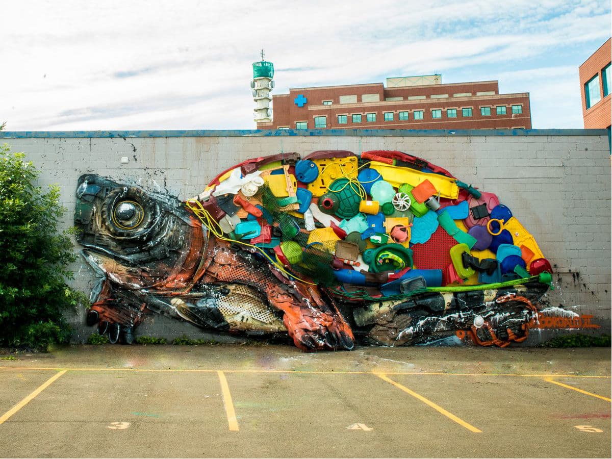 Turtle mural and collage in Moncton NB