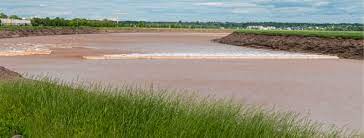 Tidal bore wave in Moncton NB