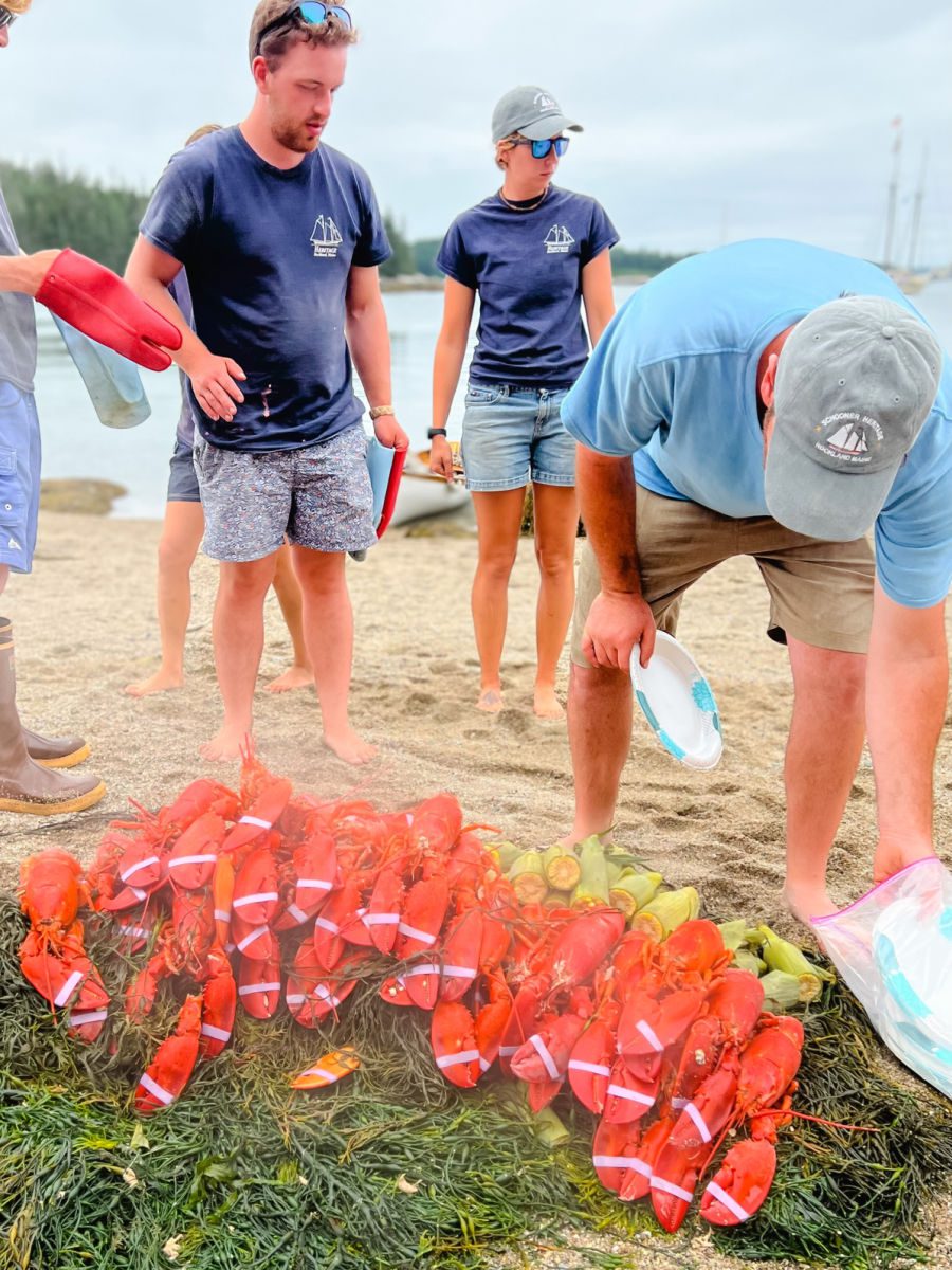 crew of the schooner heritage setting up the lobster bake with a giant pile of cooked lobsters on seaweed