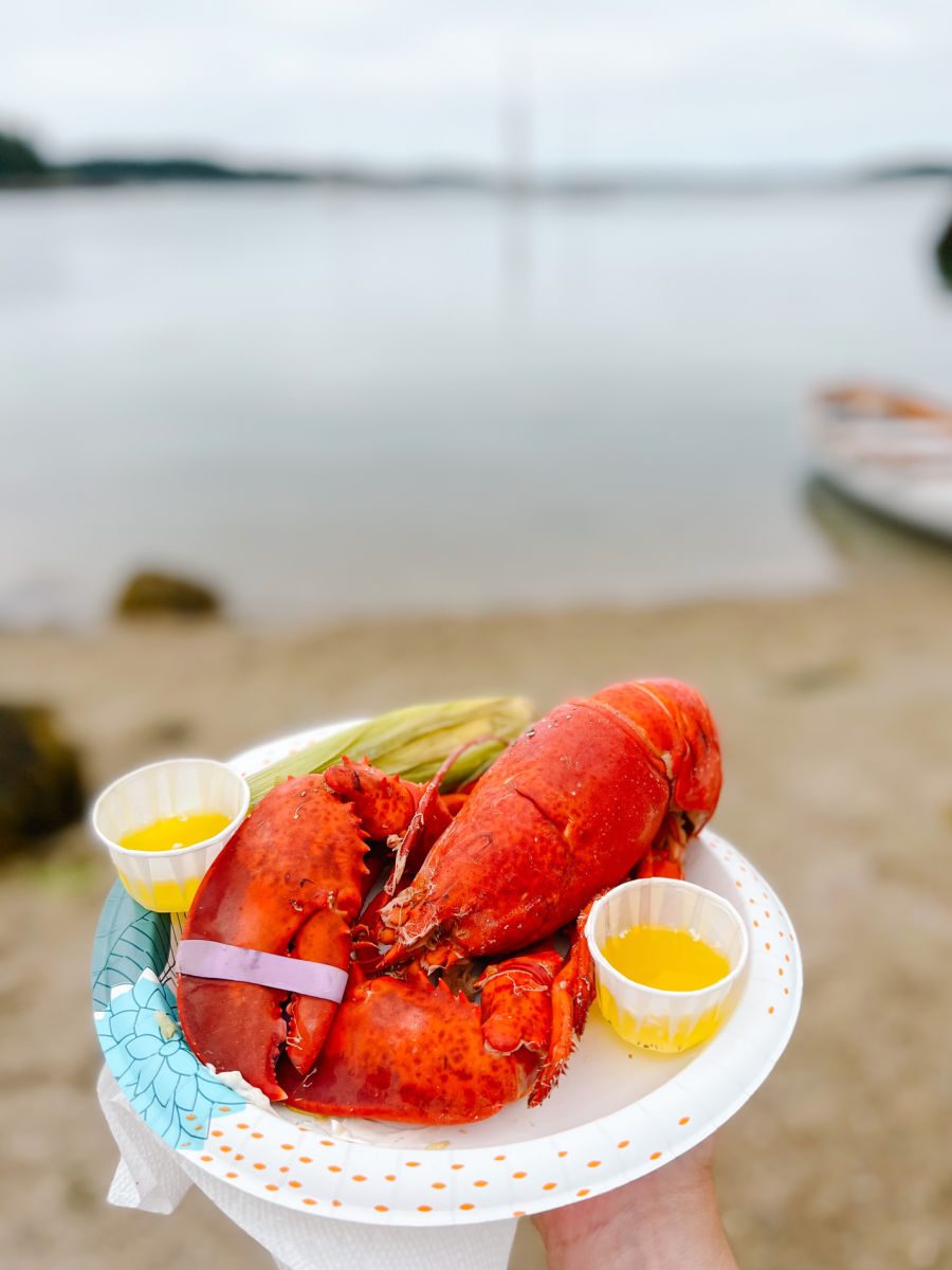 Lobster and corn on a plate held in front of the ocean