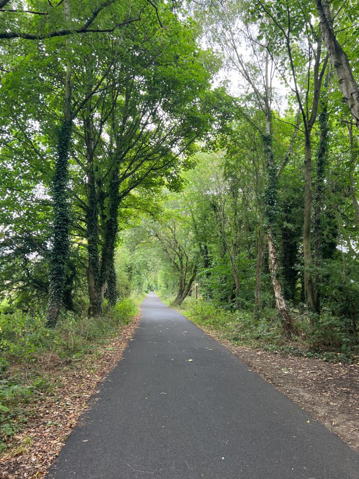 Paved path through trees on Wylam Waggonway