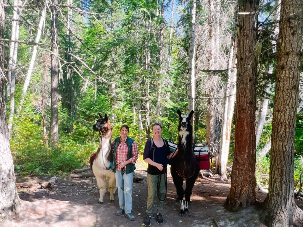 2 women with 2 llamas on llama trek