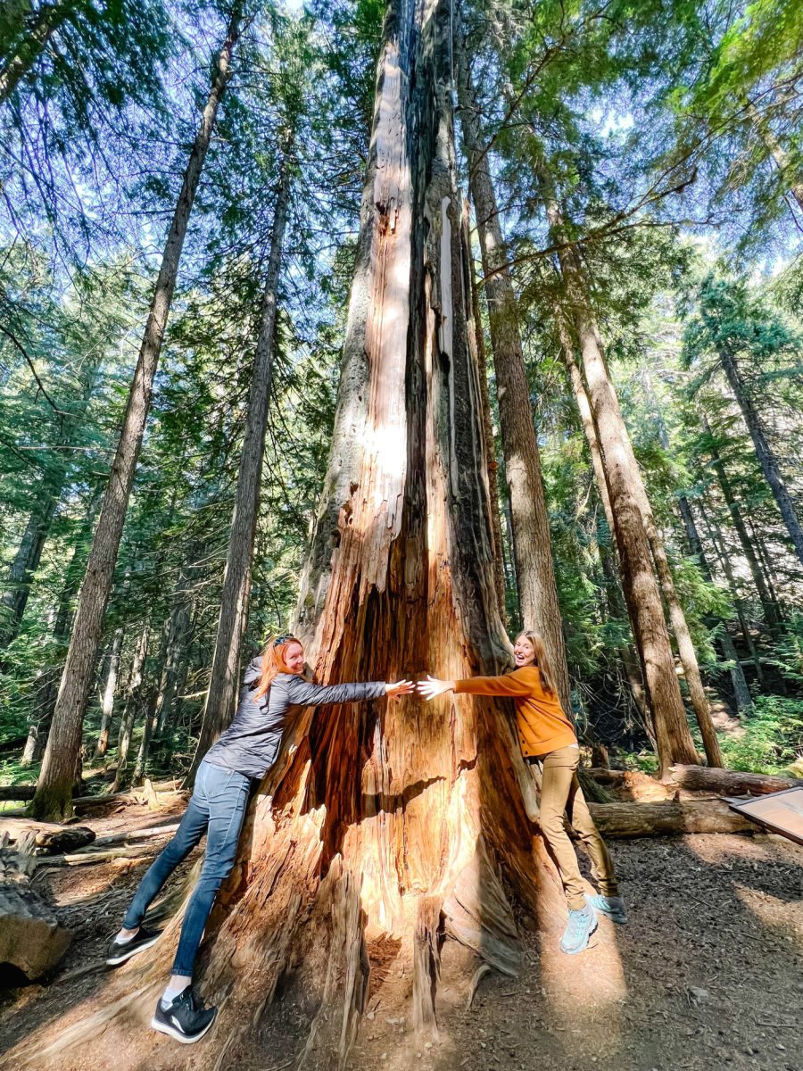 Ross Creek Cedars - 2 women hugging tree