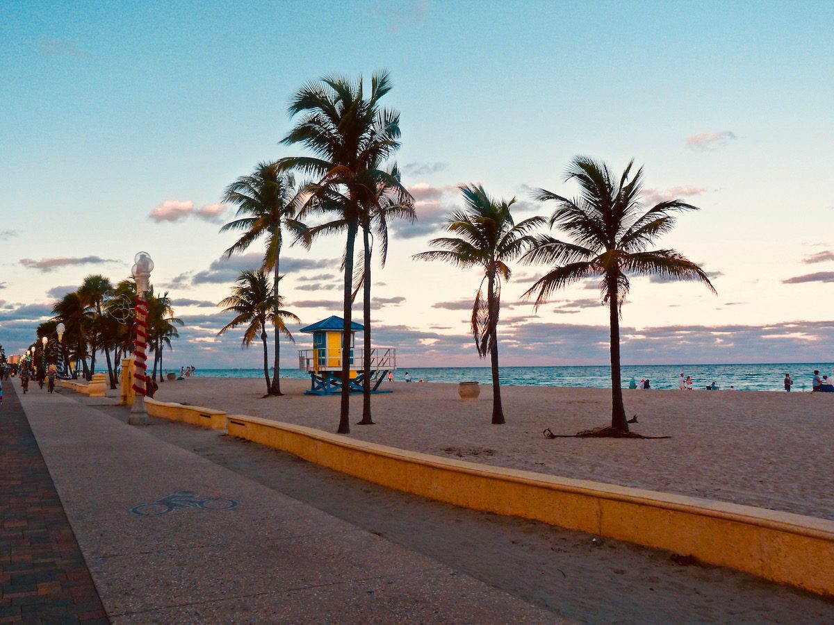 Palm trees on Hollywood beach