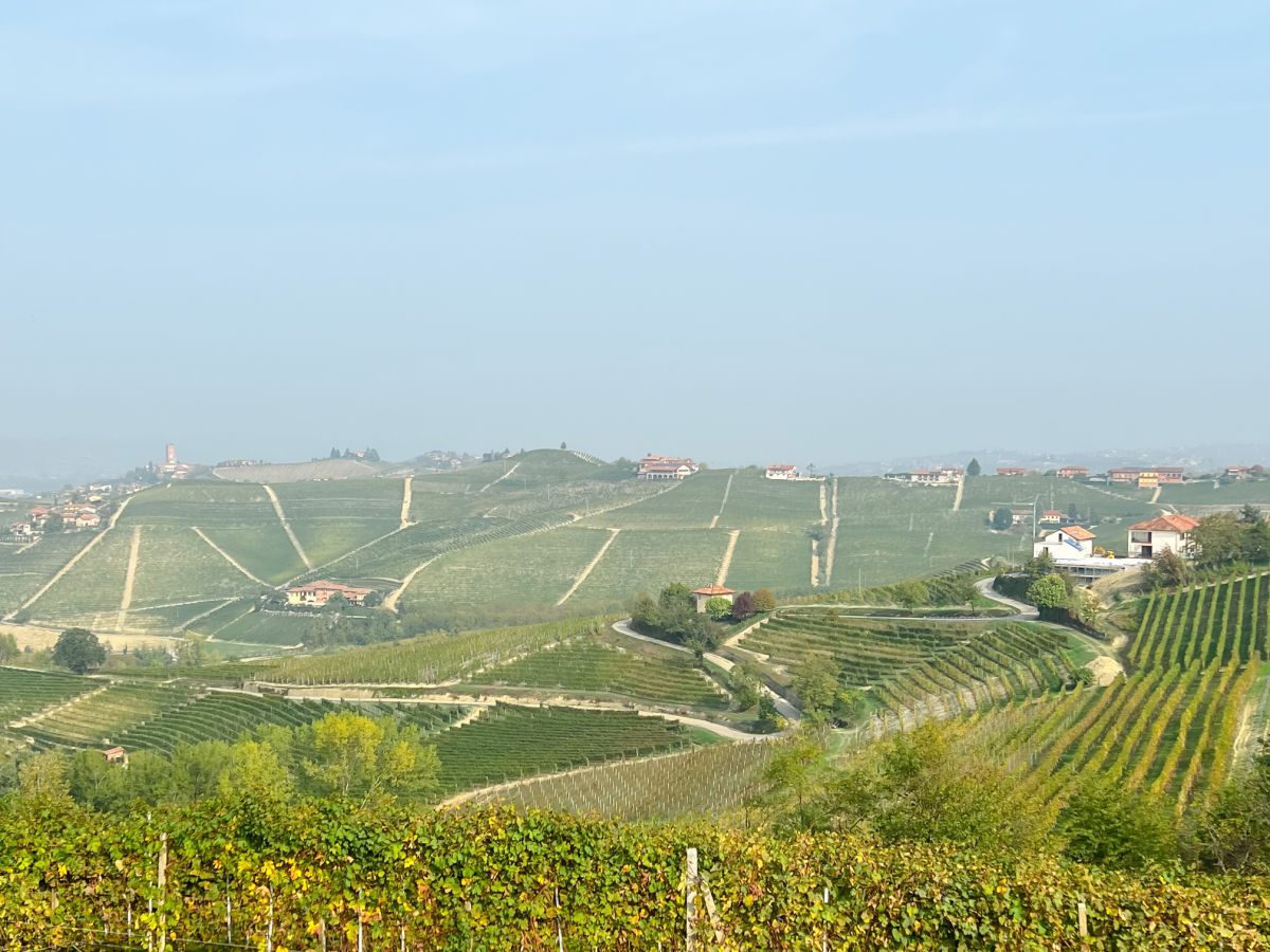 view of la morra vineyards and houses