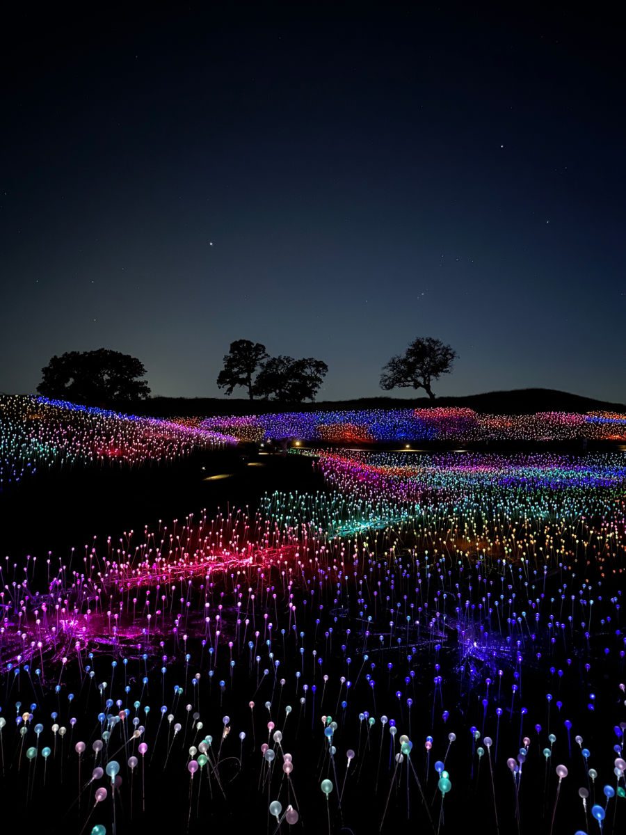 Sensorio Paso Robles Field of Light