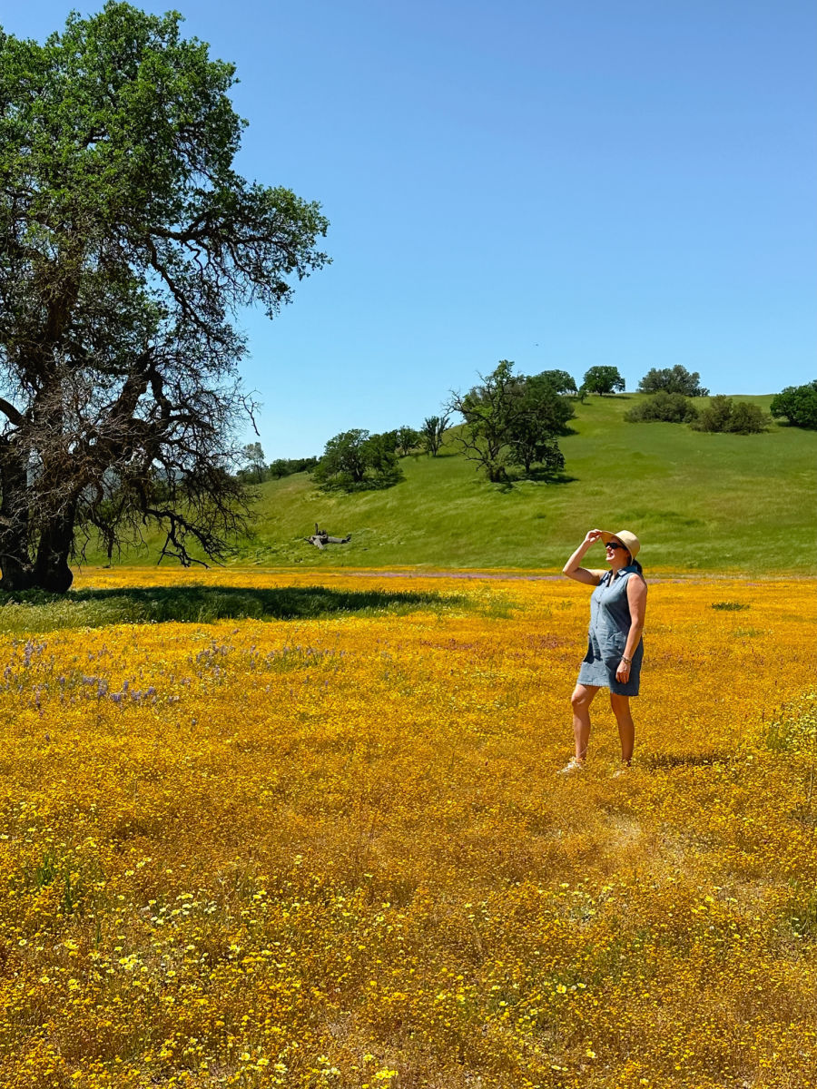 Tamara standing in field of mustard