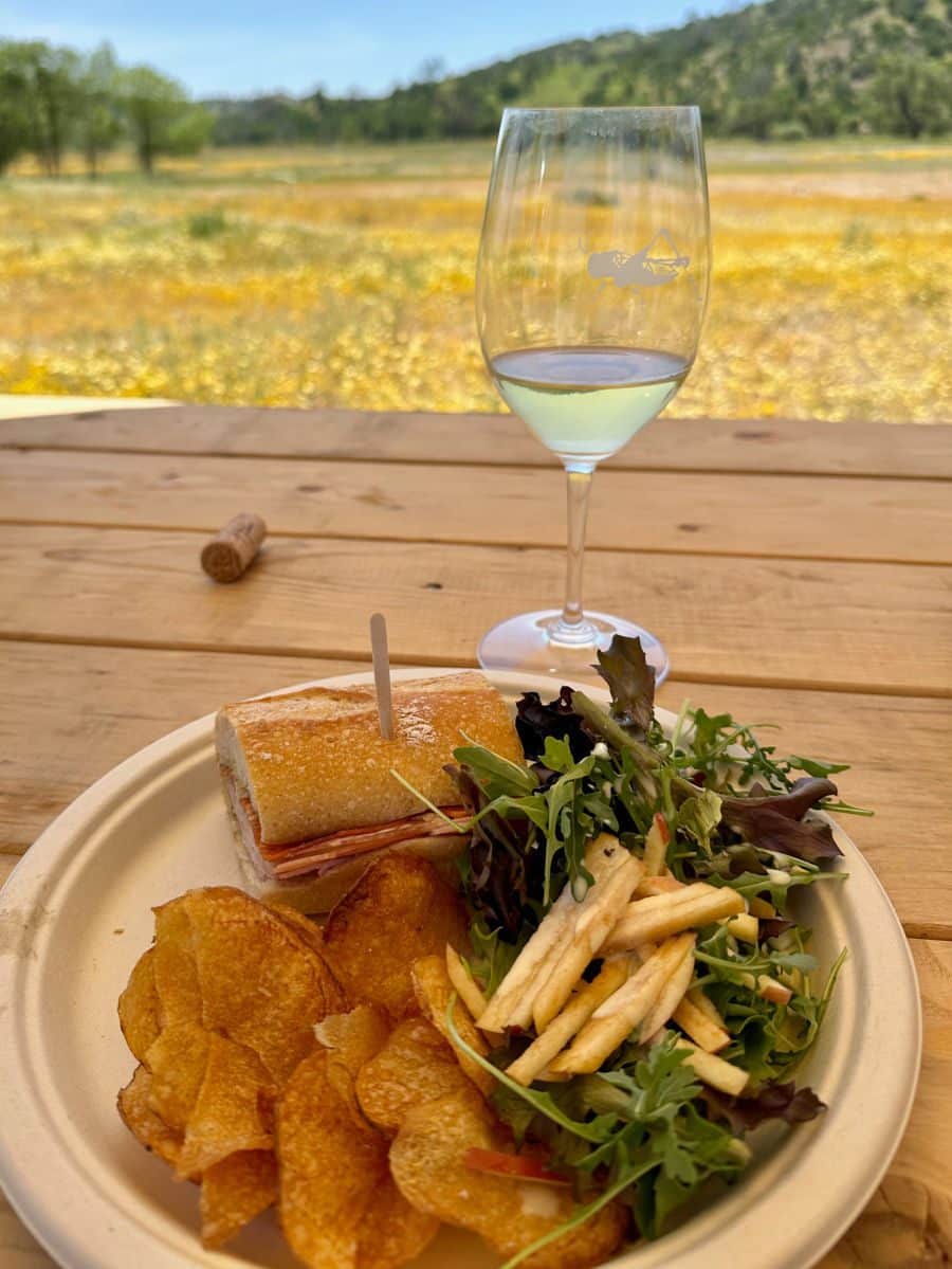 Sandwich, salad, chips and glass of wine on a picnic table