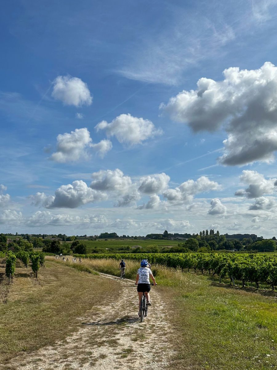 Bikers on path through vineyards