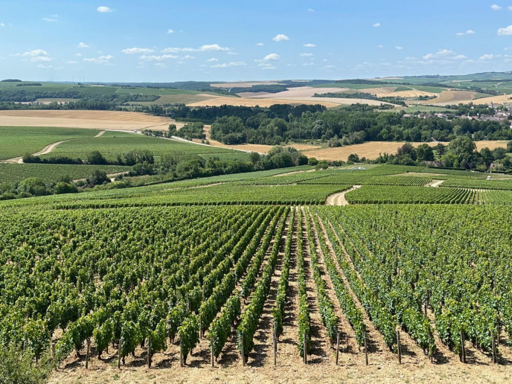 Chablis Grande Cru vineyards