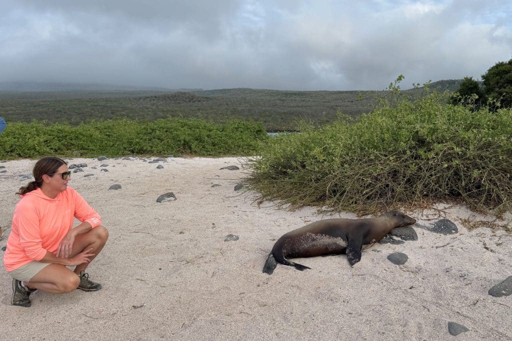 Sea lions on beach on a solo Galapagos cruise