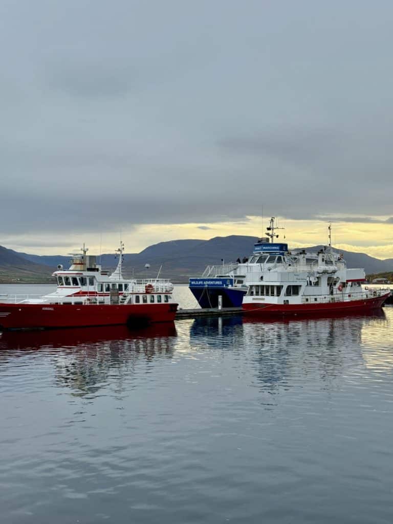 Akureyri harbour with whale watching boats