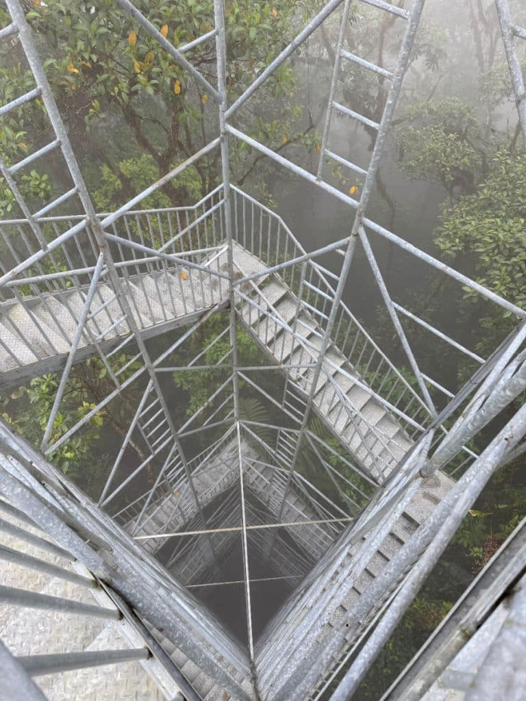 Observation tower at Mashpi Lodge