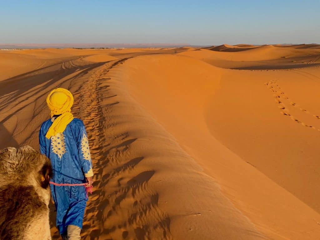 camel ride in the Sahara in Morocco