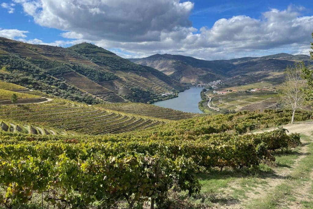 Douro Valley Ventozelo view