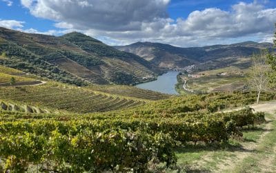 Douro Valley Ventozelo view