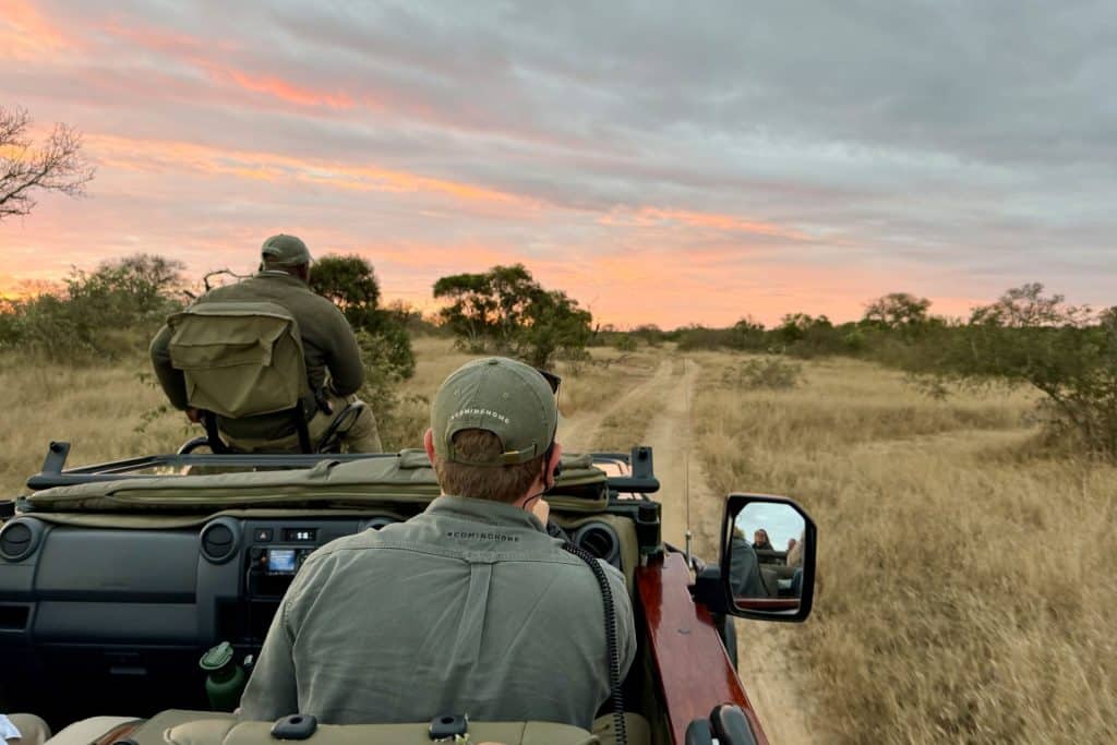 What to expect on a South Africa safari for first-timers