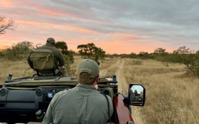 What to expect on a South Africa safari for first-timers