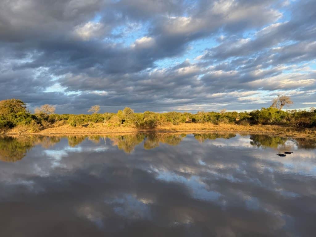 Thornybush Game Preserve lake reflection with hippos