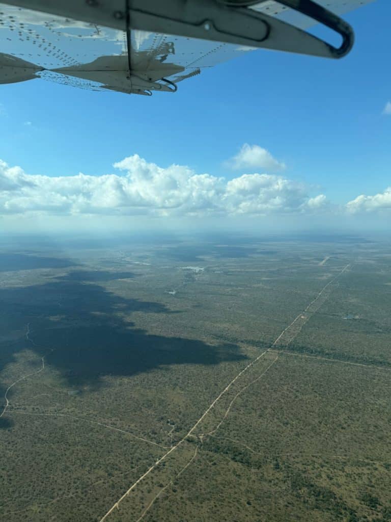 view from plane over thorny bush